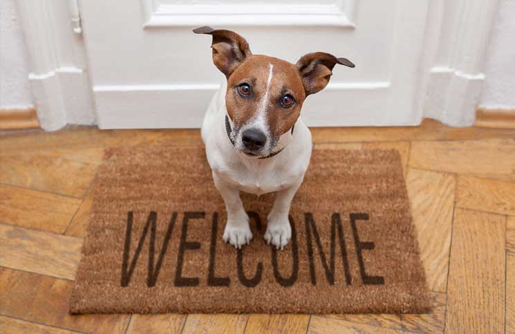 Guest Posting for Authors